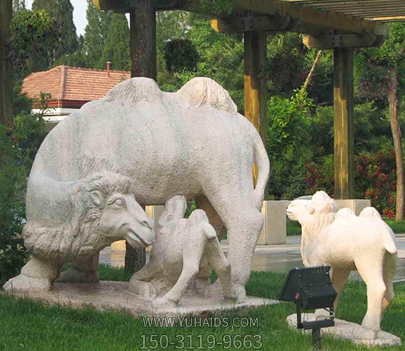 公園里擺放的喂奶的砂巖石雕創意駱駝雕塑