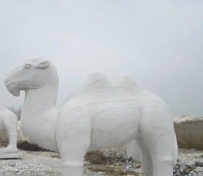 園林擺放的漢白玉石雕創(chuàng)意駱駝雕塑