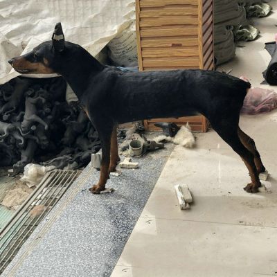 玻璃鋼仿真狗，動(dòng)物狗雕塑