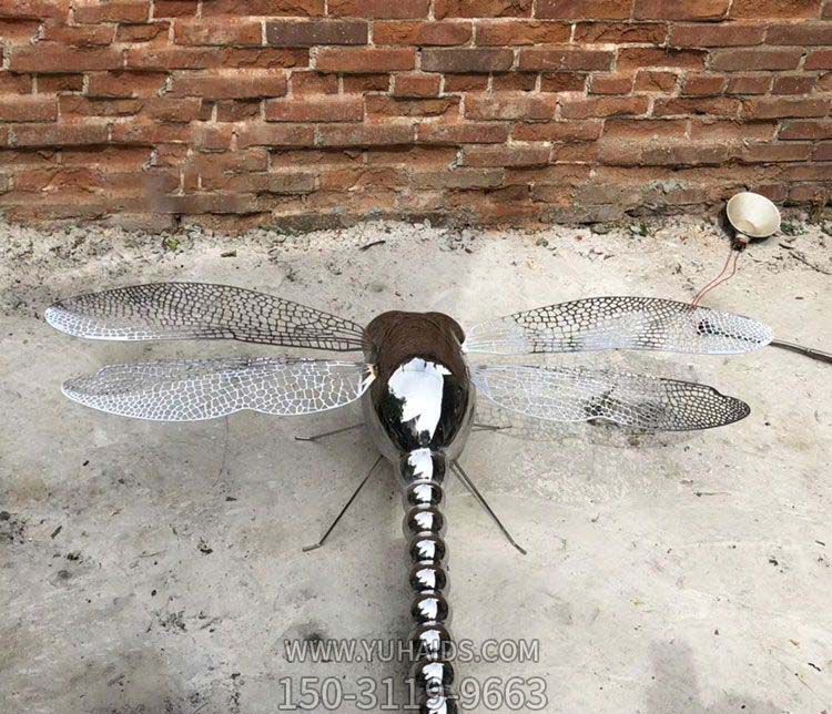 景區(qū)企業(yè)鏡面爬行不銹鋼蜻蜓雕塑 景區(qū)企業(yè)鏡面爬行不銹鋼蜻蜓雕塑