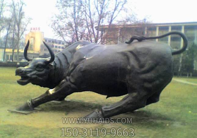 公園里擺放的后蹲的玻璃鋼創意華爾街牛 公園里擺放的后蹲的玻璃鋼創意華爾街牛