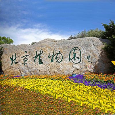 植物園景觀自然石