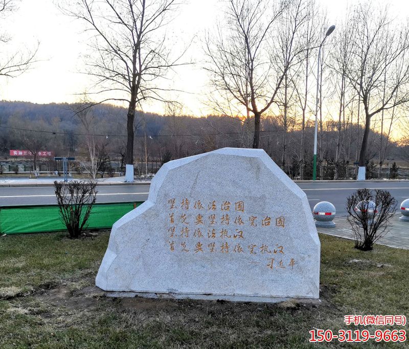 堅持依法治國首先要以憲制國 堅持依法治國首先要以憲制國