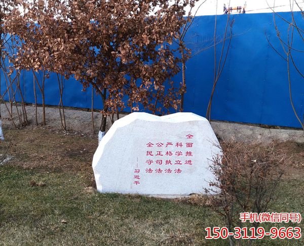 憲法只有不斷適應新形勢才能具有持久生命力 憲法只有不斷適應新形勢才能具有持久生命力