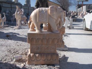 石雕大象多少錢？石材、做工等直接影響石雕大象的價格